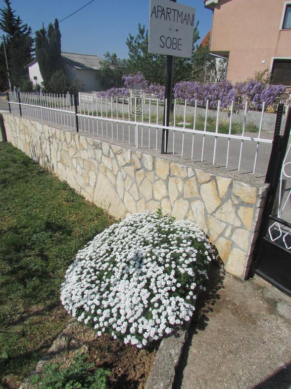 Apartments Jasen Maslenica Kültér fotó